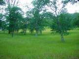 9816 Deer Hollow Trail - Photo 38