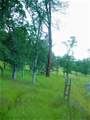 9816 Deer Hollow Trail - Photo 39