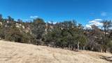 9816 Deer Hollow Trail - Photo 4
