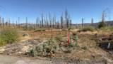 5046 Cary Drive - Photo 7