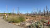 5046 Cary Drive - Photo 8