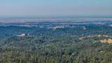 17900 Holly Road - Photo 93
