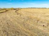 10 Westland Road - Photo 24