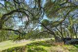 15225 De La Pena Circle - Photo 21