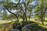 15225 De La Pena Circle - Photo 22
