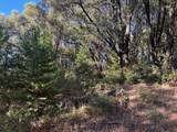 16272 Highway 26 - Photo 23
