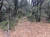 16272 Highway 26 - Photo 3