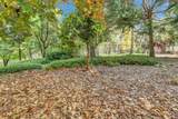 12840 Butterfly Drive - Photo 94