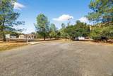 3245 Weeping Willow Way - Photo 17