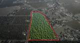 10221 Baker Road - Photo 3