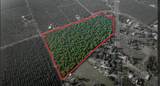 10221 Baker Road - Photo 5