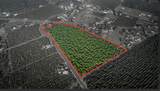 10221 Baker Road - Photo 6