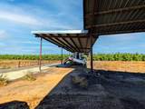 15918 Jack Tone Road - Photo 35