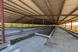 15918 Jack Tone Road - Photo 64