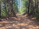 18200 Holley Ravine Road - Photo 5