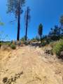 0 Hog Ranch Road - Photo 7