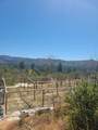 0 Hog Ranch Road - Photo 8