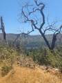 0 Hogg Ranch Road - Photo 1