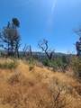 0 Hogg Ranch Road - Photo 4