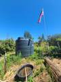 0 Hog Ranch Road - Photo 4