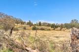 12578 Scott Grant Road - Photo 36