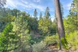 26355 Barb Wire Lane - Photo 14