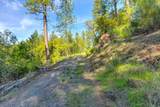 26355 Barb Wire Lane - Photo 16