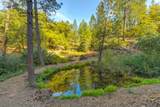 26355 Barb Wire Lane - Photo 4