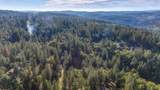 26355 Barb Wire Lane - Photo 41