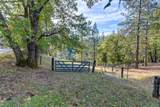 26355 Barb Wire Lane - Photo 7