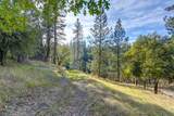 26355 Barb Wire Lane - Photo 8