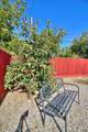 1345 Teresa Street - Photo 51