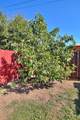 1345 Teresa Street - Photo 54
