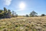 11120 Courier Rd - Photo 52