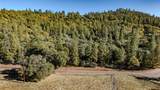 10500 Tabeaud Road - Photo 1