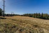 10500 Tabeaud Road - Photo 13
