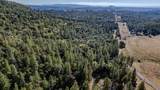 10500 Tabeaud Road - Photo 33