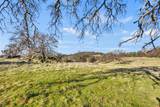 23443 Corino Way - Photo 13