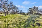 23443 Corino Way - Photo 14