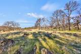 23443 Corino Way - Photo 17