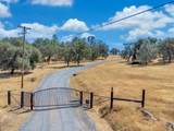 23443 Corino Way - Photo 5