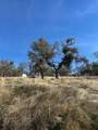 3930 Dunn Road - Photo 3
