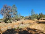 14444 Labadie Way - Photo 16