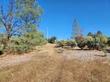 14444 Labadie Way - Photo 19