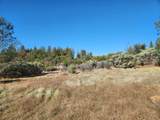 14444 Labadie Way - Photo 3