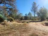 14444 Labadie Way - Photo 6