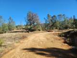 14444 Labadie Way - Photo 7