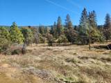 14444 Labadie Way - Photo 9