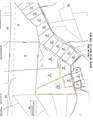 4900 Black Oak Mine Road - Photo 2
