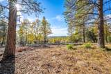 6533 Shoo Fly Road - Photo 2